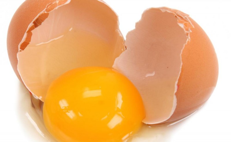 گلایه های مرغداران از شرایط بازار/ صادرات تخم‌مرغ متوقف است