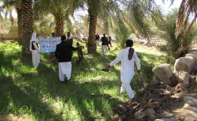 حضور 35 بسیجی جهادگر سراوانی در یاری رساندن به کشاورزان+ تصویر
