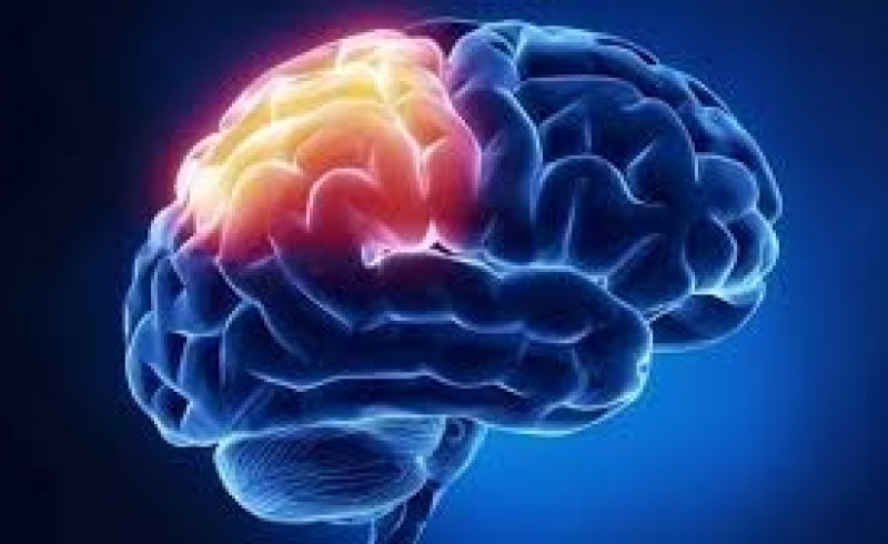 «ضعف مغز» چه نشانه‌هایی دارد؟