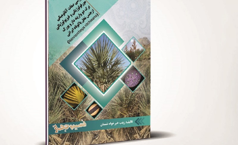 هشتمین اثر انتشارات نسیم حجاز در سال 97 به چاپ رسید