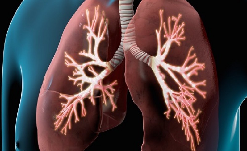 سیر تا پیاز اختلالات دستگاه تنفسی/ بیماری‌هایی که ریه‌هایتان را هدف قرار داده‌اند