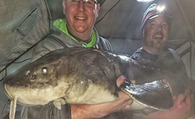 شکار ماهی خاویاری بزرگ با وزن ۵۴ کیلوگرم + فیلم