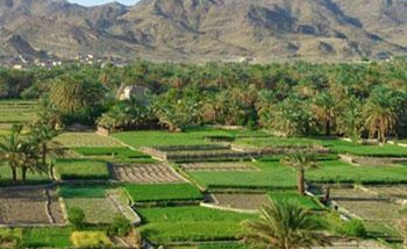 سراوان؛ سرزمین روستاهای گردشگری ناشناخته/ از تجربه فراموش نشدنی در ماسوله سیستان و بلوچستان تا برج های دوقولو شیشه ریز