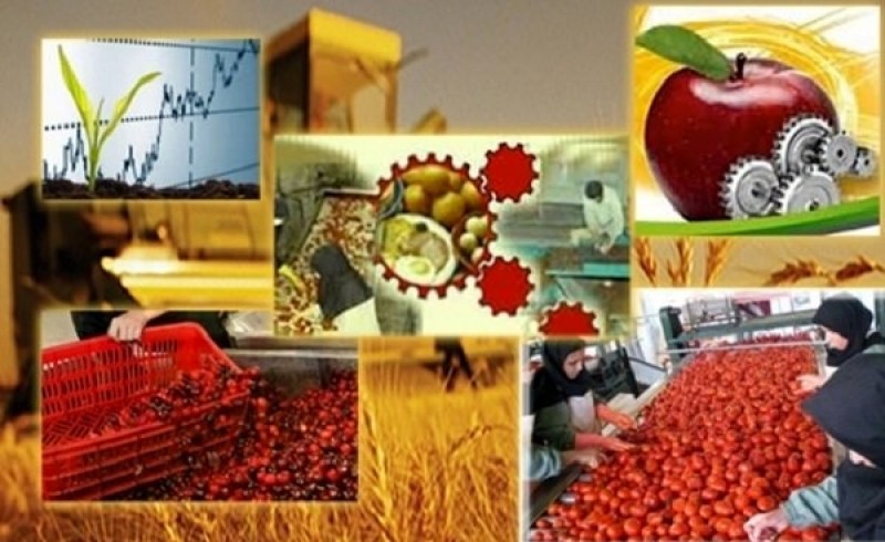 فعالیت 241 واحد صنایع تبدیلی و غذایی در سیستان وبلوچستان/ بیش از 8هزار نفر مشغول بکار هستند