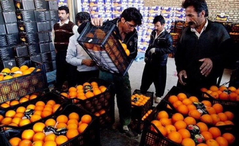 آغاز توزیع میوه 6 هزار تومانی در سیستان و بلوچستان