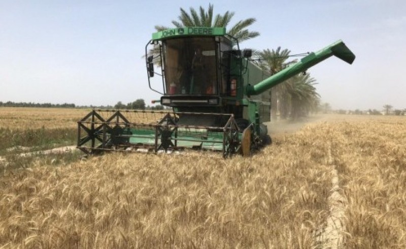 تحویل ۳هزارتن گندم مازاد بر مصرف کشاورزان سیستان و بلوچستان به دولت