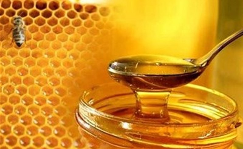 وقتی متقلبان، سلامت مردم را فدای منفعت طلبی خود می کنند/نیشِ عسل تقلبی بر پیکره نیمه جان صنعت زنبورداری