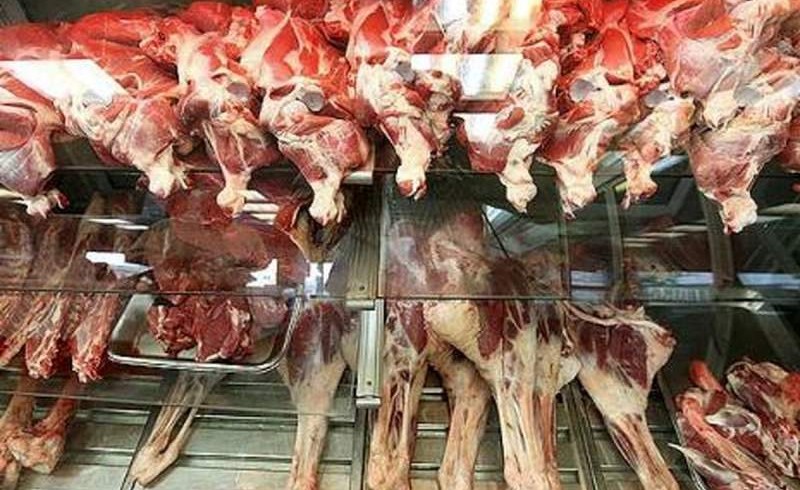 ماجرای فروش گوشت سگ در شهرستان کنارک چه بود؟