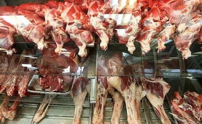 ماجرای فروش گوشت سگ در شهرستان کنارک چه بود؟