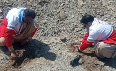 کاشت ۱۰۰ اصله نهال توسط امدادگران هلال‌احمر در سراوان